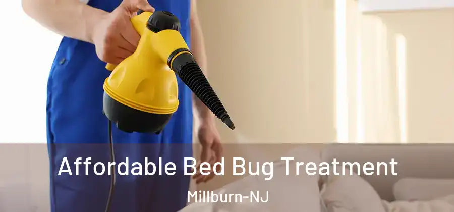  Affordable Bed Bug Treatment Millburn-NJ