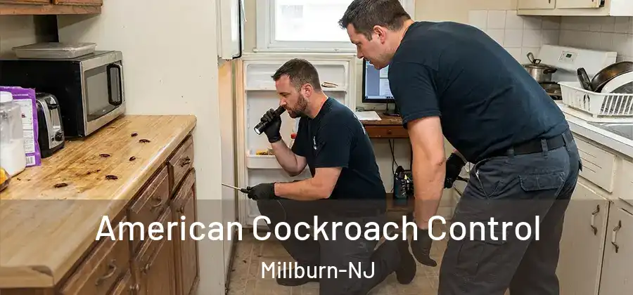 American Cockroach Control Millburn-NJ
