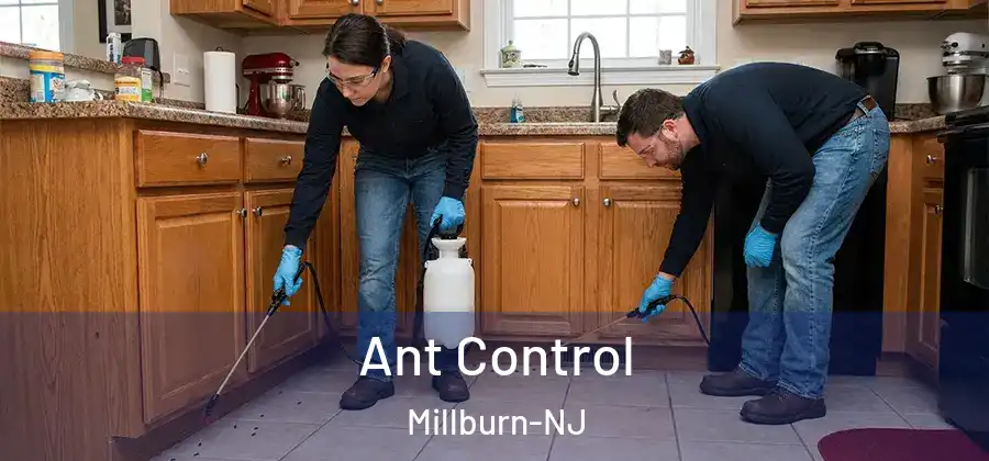 Ant Control Millburn-NJ