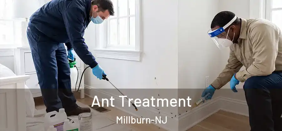 Ant Treatment Millburn-NJ
