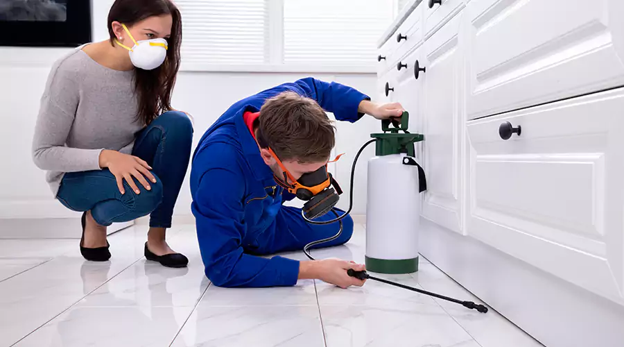 How to Prepare Your Home Before a Pest Control Treatment