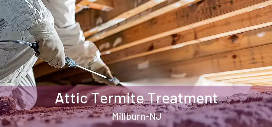 Attic Termite Treatment Millburn-NJ