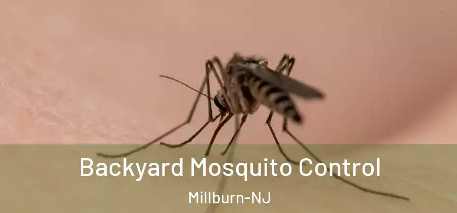  Backyard Mosquito Control Millburn-NJ