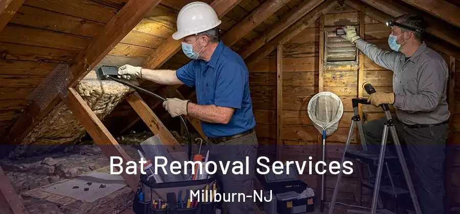 Bat Removal Services Millburn-NJ