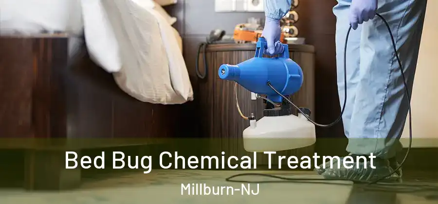Bed Bug Chemical Treatment Millburn-NJ