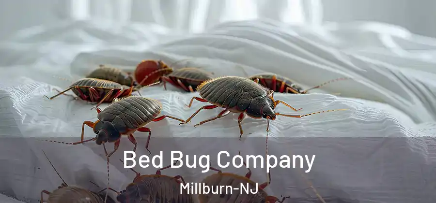  Bed Bug Company Millburn-NJ