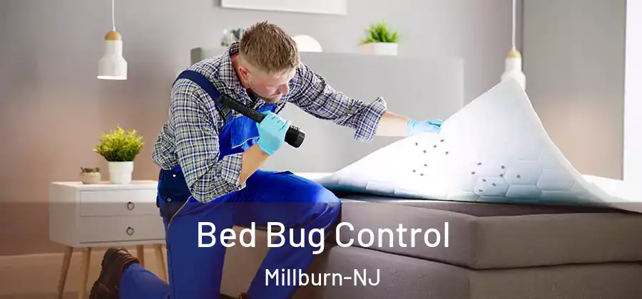  Bed Bug Control Millburn-NJ