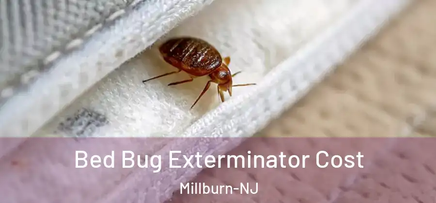 Bed Bug Exterminator Cost Millburn-NJ