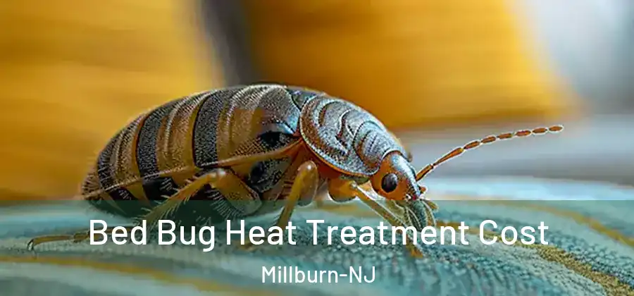 Bed Bug Heat Treatment Cost Millburn-NJ