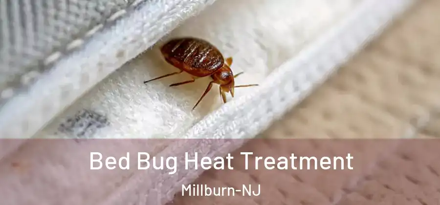  Bed Bug Heat Treatment Millburn-NJ