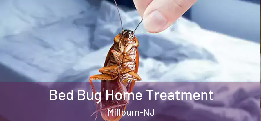  Bed Bug Home Treatment Millburn-NJ
