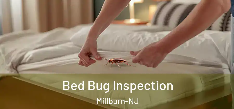 Bed Bug Inspection Millburn-NJ