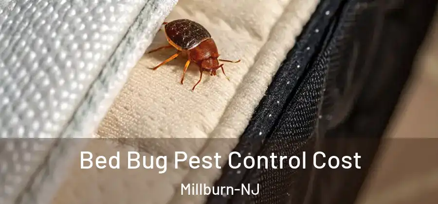 Bed Bug Pest Control Cost Millburn-NJ