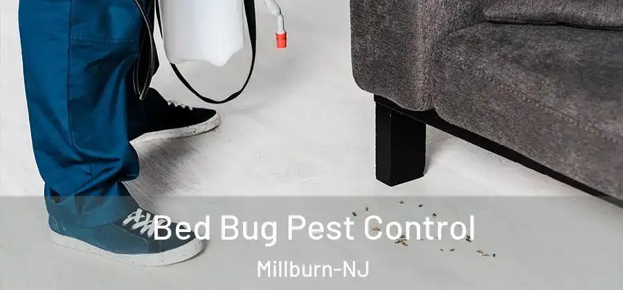 Bed Bug Pest Control Millburn-NJ