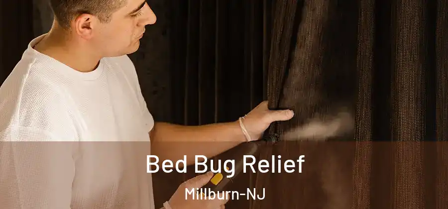 Bed Bug Relief Millburn-NJ