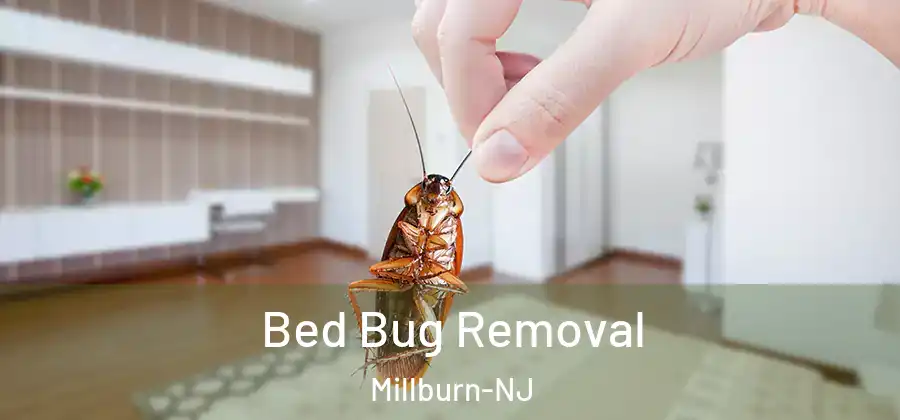 Bed Bug Removal Millburn-NJ