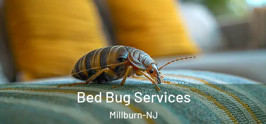  Bed Bug Services Millburn-NJ