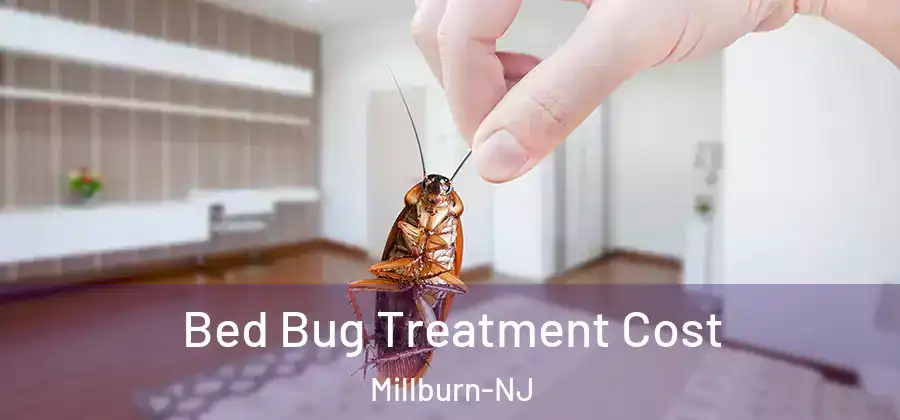 Bed Bug Treatment Cost Millburn-NJ