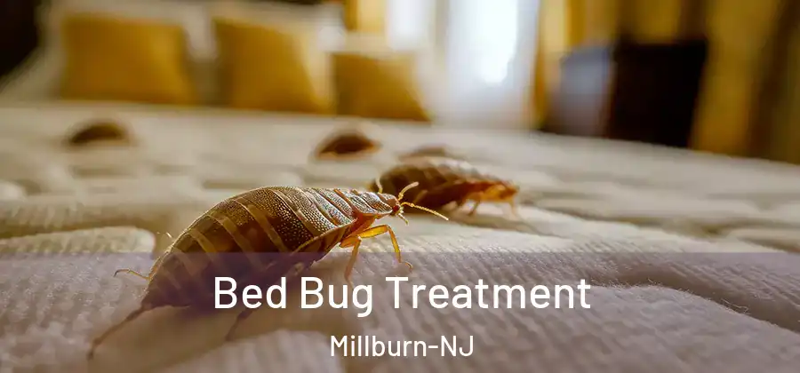  Bed Bug Treatment Millburn-NJ