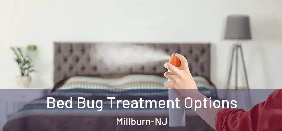 Bed Bug Treatment Options Millburn-NJ