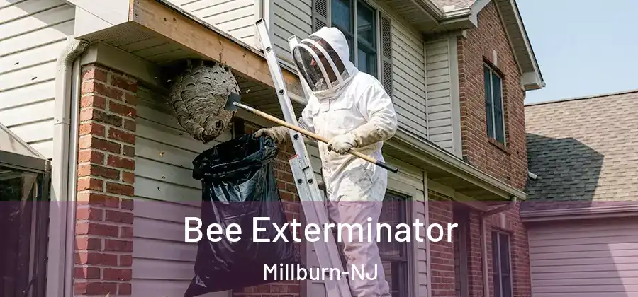 Bee Exterminator Millburn-NJ