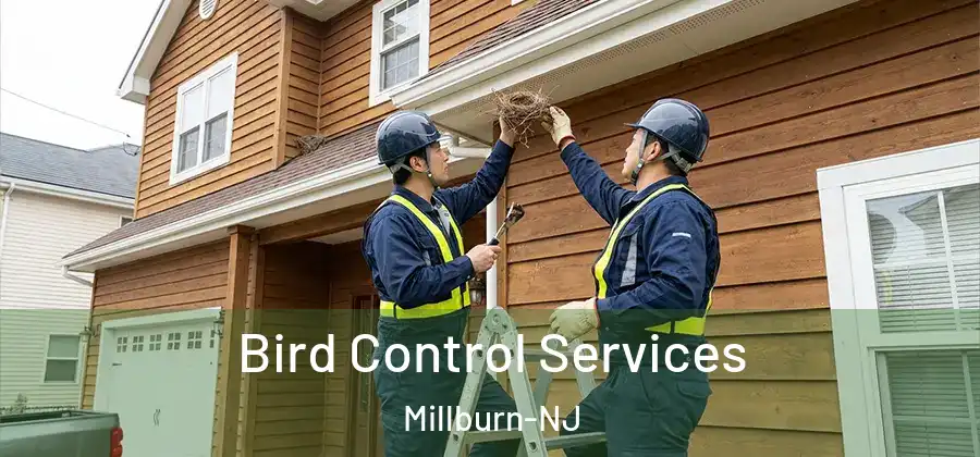 Bird Control Services Millburn-NJ