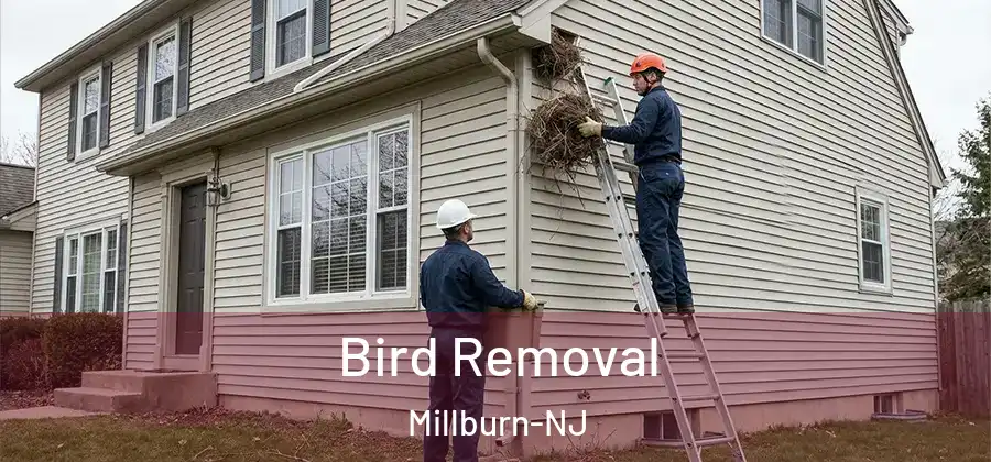  Bird Removal Millburn-NJ