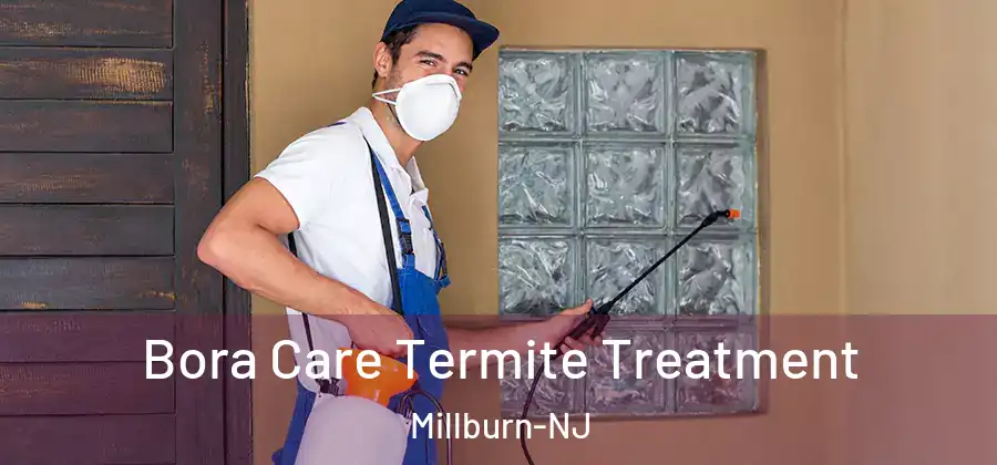  Bora Care Termite Treatment Millburn-NJ