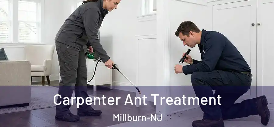 Carpenter Ant Treatment Millburn-NJ