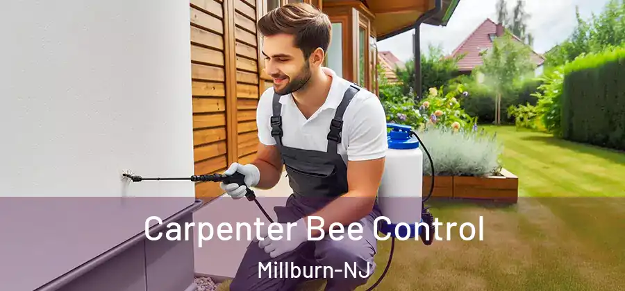 Carpenter Bee Control Millburn-NJ