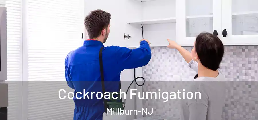  Cockroach Fumigation Millburn-NJ
