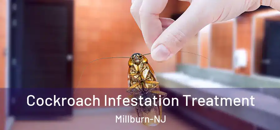 Cockroach Infestation Treatment Millburn-NJ
