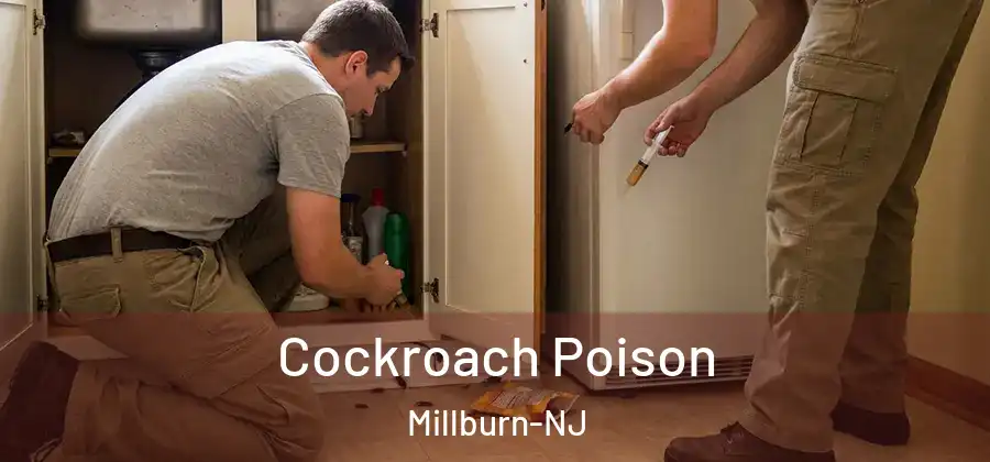  Cockroach Poison Millburn-NJ