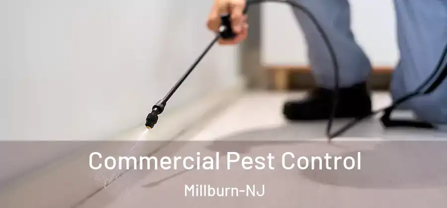 Commercial Pest Control Millburn-NJ