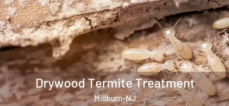 Drywood Termite Treatment Millburn-NJ