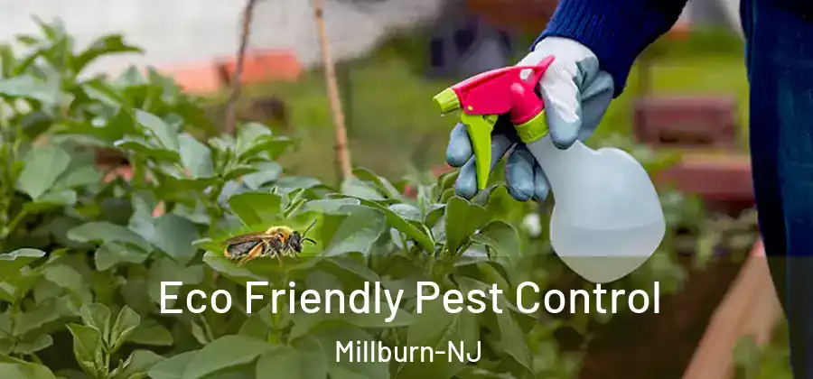 Eco Friendly Pest Control Millburn-NJ