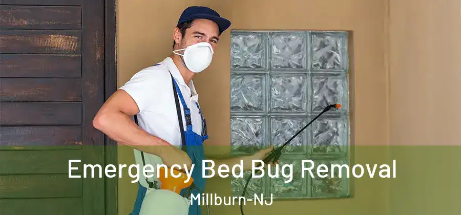 Emergency Bed Bug Removal Millburn-NJ