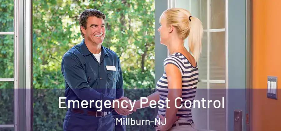 Emergency Pest Control Millburn-NJ