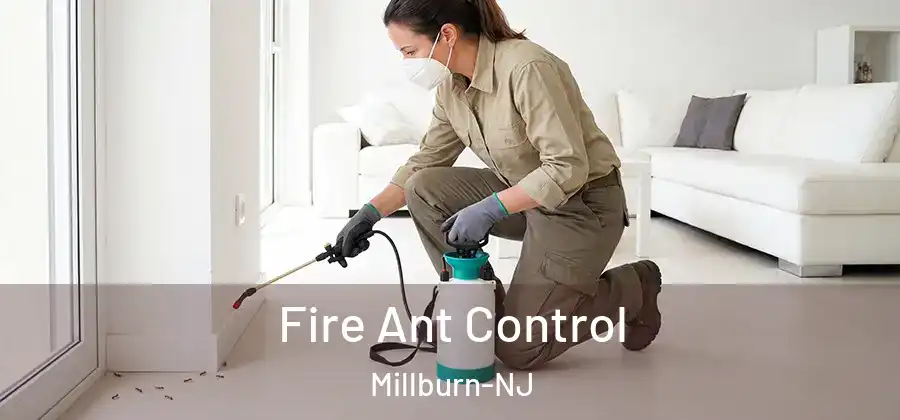 Fire Ant Control Millburn-NJ