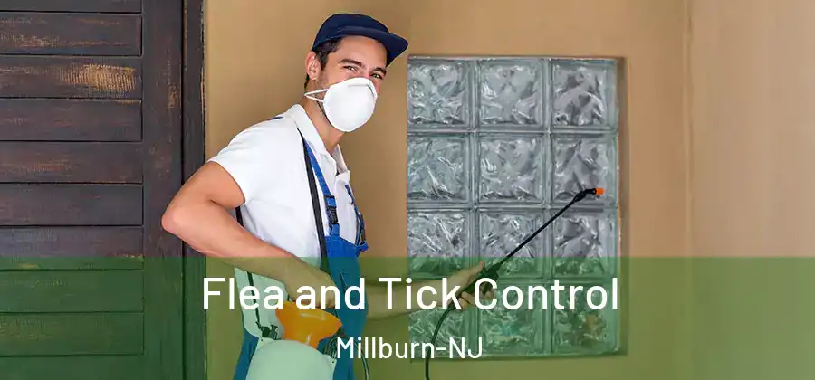 Flea and Tick Control Millburn-NJ