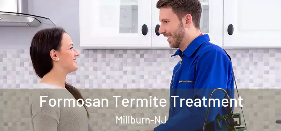 Formosan Termite Treatment Millburn-NJ