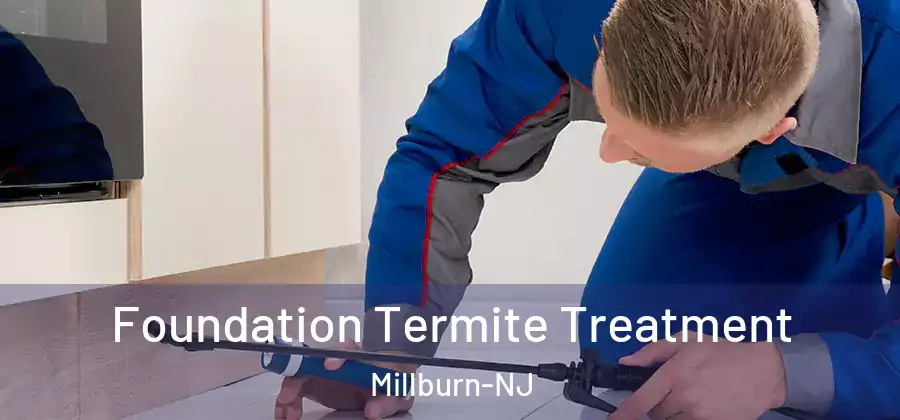 Foundation Termite Treatment Millburn-NJ