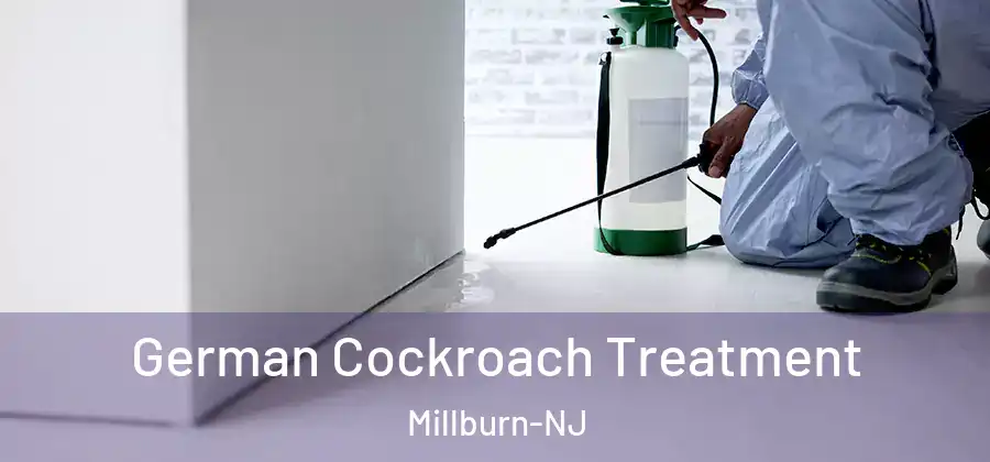 German Cockroach Treatment Millburn-NJ