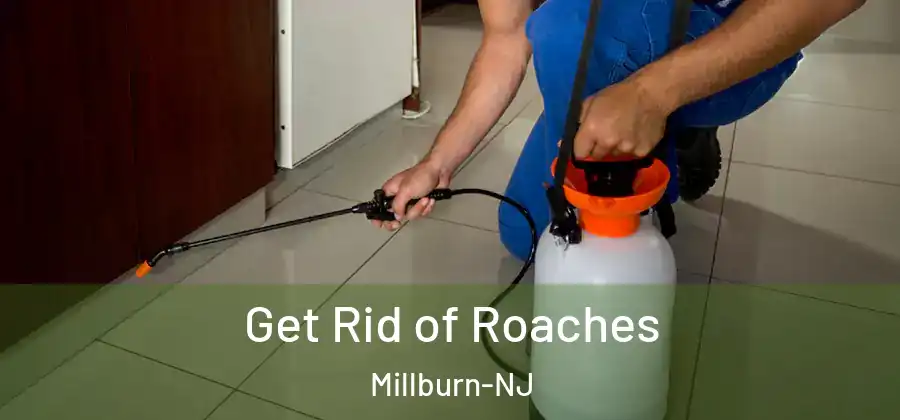 Get Rid of Roaches Millburn-NJ