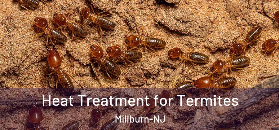 Heat Treatment for Termites Millburn-NJ