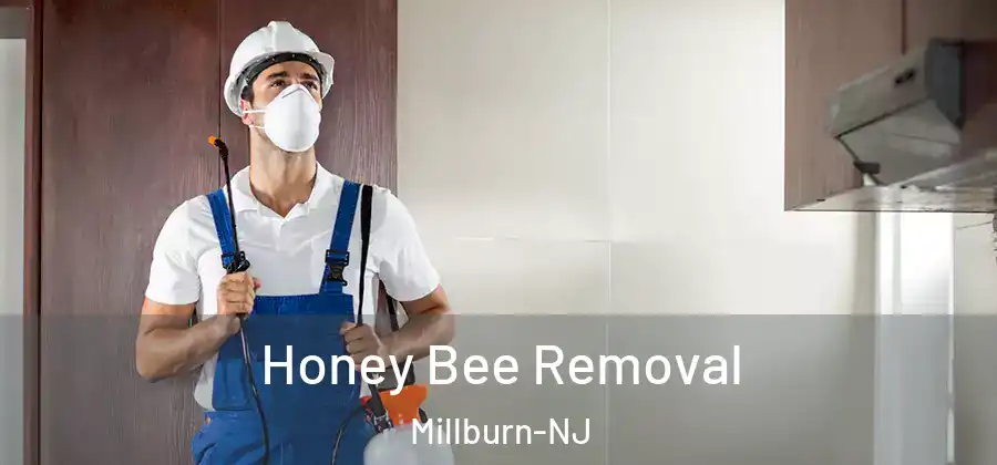 Honey Bee Removal Millburn-NJ