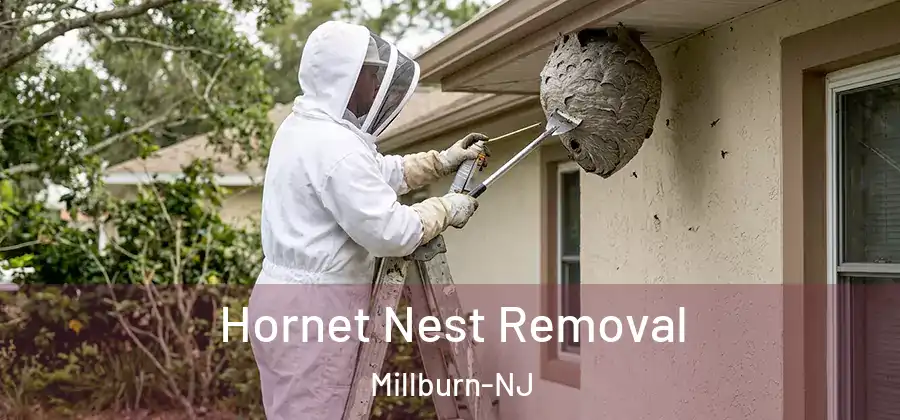  Hornet Nest Removal Millburn-NJ
