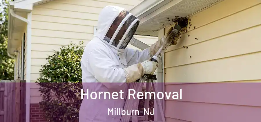 Hornet Removal Millburn-NJ