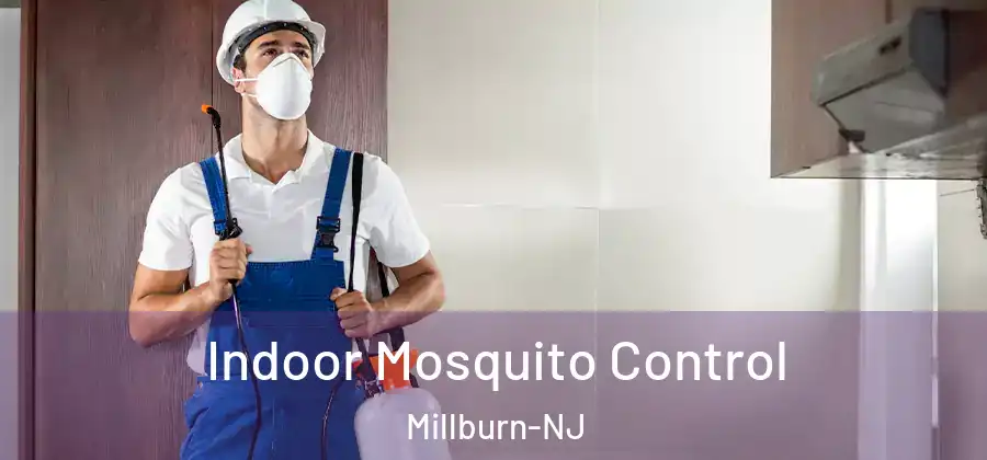 Indoor Mosquito Control Millburn-NJ