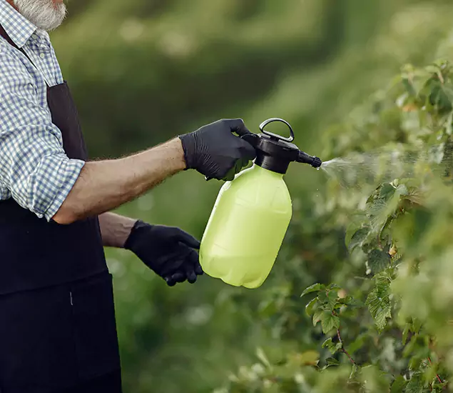 Your Proven Mosquito Treatment Company in Millburn, NJ